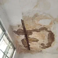 گچکاری ، لکه گیری ، تخصص ماست ارزان تر از همه جا