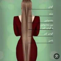 شعبه مو رنگی ،خام ،حنایی،فرفری