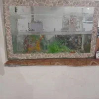 آکواریوم کامل