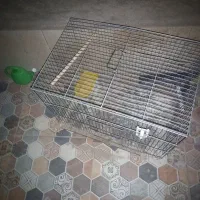 ۲تا قفس قناری بزرگ نونو فروشی حمل باروانت تلفنی