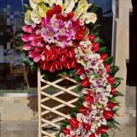 مجیدیه گل درباری تک تاج گل