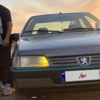 405 دلفینی|خودرو سواری و وانت|هشتگرد, ینگی امام|دیوار