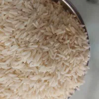 فروش برنج هاشمی درج یک