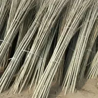 فروش انواع گردو خوشه و نیمه خوشه ای غرب نهال|خدمات باغبانی و درختکاری|قصرشیرین, |دیوار