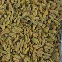 پخش روغن زرد گوسفندی وگاوی وکره دوغی. اسفراین|خوردنی و آشامیدنی|پاکدشت, حصار امیر|دیوار