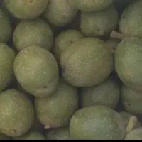 خرید و فروش گردو