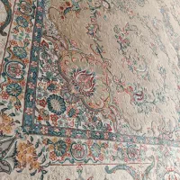 12متری|فرش|قزوین, |دیوار