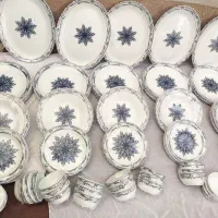 آرکوپال سرویس پذیرایی ظروف ۳۰نفره۱۲۵تکه نو|ظروف سرو و پذیرایی|تهران, خانی آباد نو جنوبی|دیوار