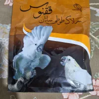 سرلاک عروس هلندی|لوازم جانبی حیوانات|شیراز, شهرک فرزانگان|دیوار