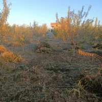 2200متر باغ|فروش خانه و ویلا|عجب شیر, |دیوار