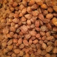 آلو بخارا خورشتی