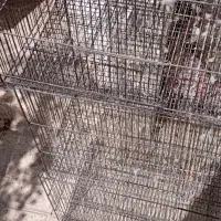 قفس پرنده فلزی۶۰×۴۰ نوی نو|لوازم جانبی حیوانات|قوچان, |دیوار