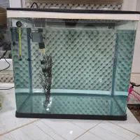 آکواریوم کامل دلسا همراه با ماهی|ماهی|فردیس, شهرک وحدت|دیوار