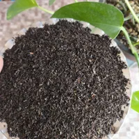 چای شمال|حراج|چهارباغ, |دیوار