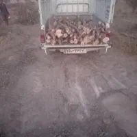 خرید و برش انواع چوب باغی|خدمات باغبانی و درختکاری|هشتگرد, شهرک گلها|دیوار