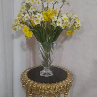 ۱۵شاخه گل نرگس