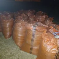 کاه گندم