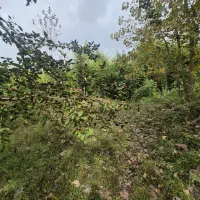 3000متر خانه ویلایی کوچصفهان/سنگر/لولمان|فروش خانه و ویلا|کوچصفهان, |دیوار