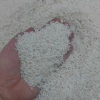 برنج طارم هاشمی فوق ممتاز اعلا