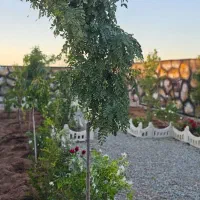 باغچه شسته رفته سنددار دارای آب و نگهبانی معاوضه|فروش زمین و ملک کلنگی|شهریار, اصیل آباد|دیوار