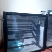 دستگاه جوجه کشی ۳۳۶تایی|حیوانات مزرعه|لاهیجان, بازکیاگوراب|دیوار