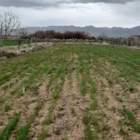 ۲۷۰۰متر زمین کشاورزی ۴۵دقیقه اب واقعی ۴ اینچ