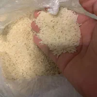 برنج طارم هاشمی|خوردنی و آشامیدنی|تهران, آذربایجان|دیوار