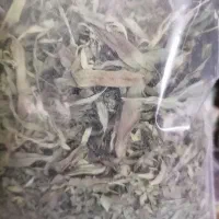 ترخون ابگوشتی