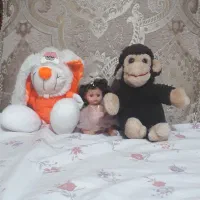 عروسک|اسباب‌‌بازی|فردیس, داوری|دیوار