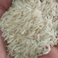 برنج  طارم اصل و خالص درجه یک به مقدار محدود