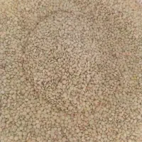 سلام|خوردنی و آشامیدنی|خنجین, |دیوار