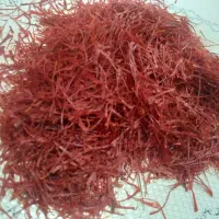 زعفران کشاورز