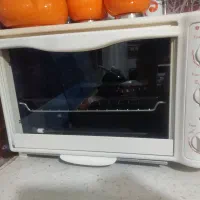 تستر مارک سانی کاملا سالم