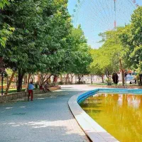 طبیعت گردی