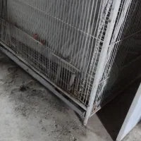 قفس وتخت خواب|لوازم جانبی حیوانات|بندر ماهشهر, |دیوار