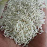 برنج دورود