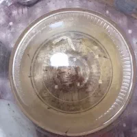 ماهی گوپی و بچه ماهی گوپی|ماهی|قم, نیروگاه|دیوار
