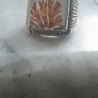 انگشتر شجر قائنات