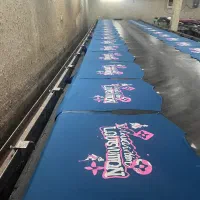 شابلون زن ماهر و نیمه ماهر