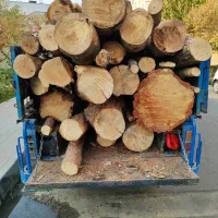 خرید و برش چوب