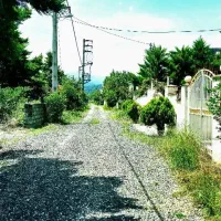 2تا قطعه زمین فروش فوری تا آخر هفته