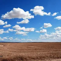 فروش زمین کشاورزی