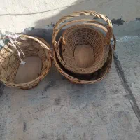 سبد و باکس گل و تزیینی