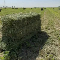 فروش ۱۵ عدد پرس یونجه