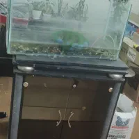 لوازم منزل|حراج|قنوات, |دیوار