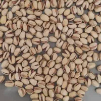 مغز  پوک روابی دهن بست نخودو