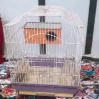 میلگرد|لوازم جانبی حیوانات|خواف, |دیوار