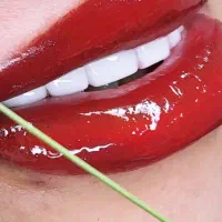 آرایش دائم و آموزش و رژلب و میکرو دائم