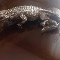 وسایل تزئینی|صنایع دستی و سایر لوازم تزئینی|تبریز, |دیوار