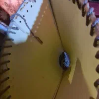 شب خواب ایستاده|چراغ خواب و آباژور|زاهدان, |دیوار